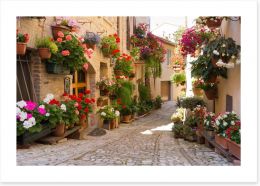 Italian alley with flowers