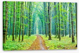 Vibrant Spring in the forest Stretched Canvas 53625026