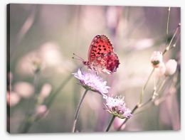 Fluttering on the wildflower Stretched Canvas 53633126