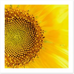 Sunflower love Art Print 53654595
