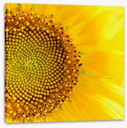 Sunflower love Stretched Canvas 53654595