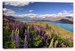 New Zealand Stretched Canvas 53688420