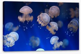 Diving jellyfish Stretched Canvas 53724456