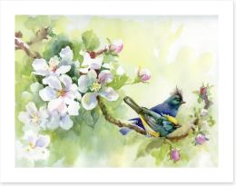 Birds of spring Art Print 53792086