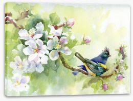 Birds of spring Stretched Canvas 53792086