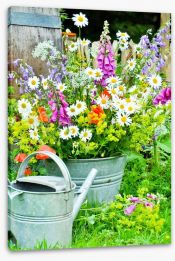 Wildflower blooms Stretched Canvas 53872148