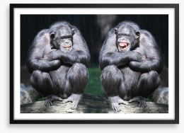 Monkeying around Framed Art Print 54017933