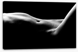 Bodyscape Stretched Canvas 54136334