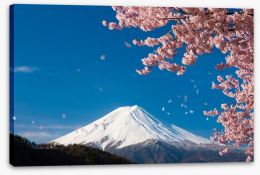 Sakura snow Stretched Canvas 54170104