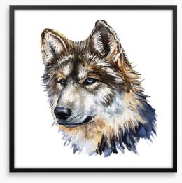 Wild wolf Framed Art Print 54272072