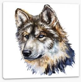 Wild wolf Stretched Canvas 54272072