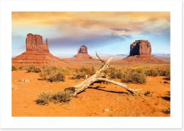 Desert Art Print 54492648