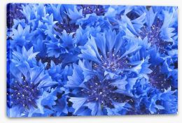 Cornflower blue Stretched Canvas 54580400