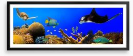 Ray in the reef Framed Art Print 54752531