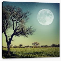 Moon glow Stretched Canvas 54798232