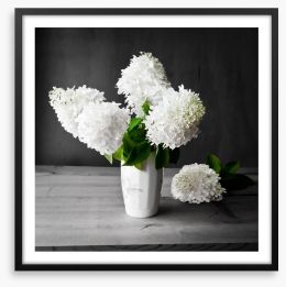 White hydrangea vase Framed Art Print 54979263