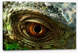 Reptiles / Amphibian Stretched Canvas 55175061
