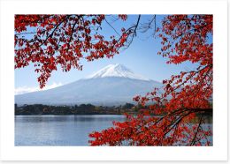 Mt. Fuji in the Autumn Art Print 55179380