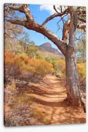 Path to the Flinders Ranges Stretched Canvas 55211172