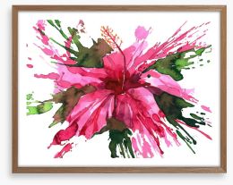 Hibiscus flower splash Framed Art Print 55217521