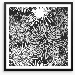 Chrysanthemum burst Framed Art Print 55221043