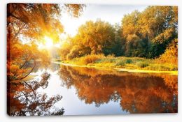 Autumn forest reflections Stretched Canvas 55244592