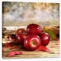 Shiny red apples Stretched Canvas 55585644