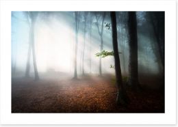 Fog in the forest Art Print 55675112