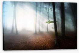Fog in the forest Stretched Canvas 55675112