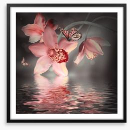 Orchid and butterfly reflections Framed Art Print 55749422