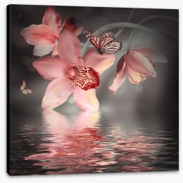 Orchid and butterfly reflections Stretched Canvas 55749422