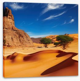 Desert Stretched Canvas 55925273