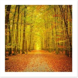 Autumn forest path Art Print 56009948