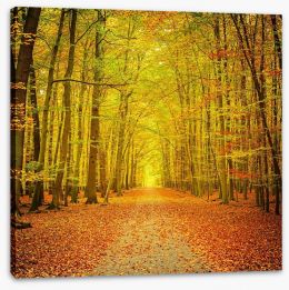 Autumn forest path Stretched Canvas 56009948