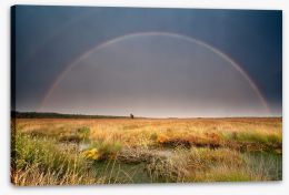 Rainbows Stretched Canvas 56219532