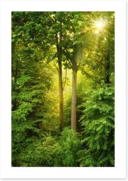 Green forest sunbeam Art Print 56243360