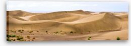 Desert Stretched Canvas 56366987
