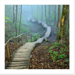The forest stairway Art Print 56373568