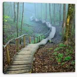 The forest stairway Stretched Canvas 56373568