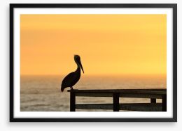 Pizmo pelican Framed Art Print 56401021