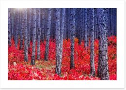 Red Autumn forest Art Print 56511219