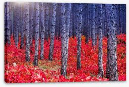 Red Autumn forest Stretched Canvas 56511219