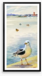 The inquisitive seagull Framed Art Print 56685973
