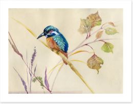 Common Kingfisher Art Print 56686093