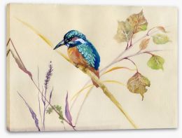 Common Kingfisher Stretched Canvas 56686093