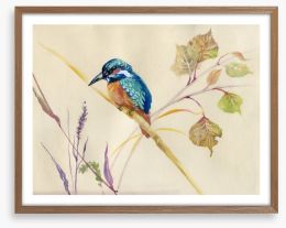 Common Kingfisher Framed Art Print 56686093