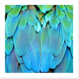 Harlequin macaw feathers Art Print 56692337