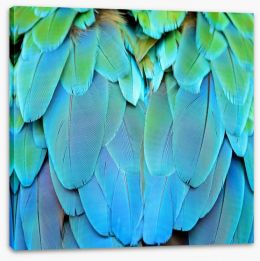Harlequin macaw feathers Stretched Canvas 56692337