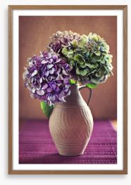 Hortensia bloom Framed Art Print 56920553