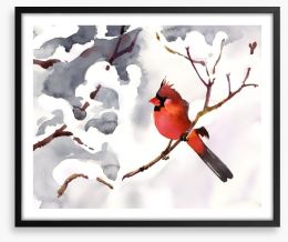 Red snow bird Framed Art Print 57186402